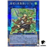 Wynn the Wind Charmer, Verdant 25th Secret QCCU-JP188 [QSrR] side Unity Yugi