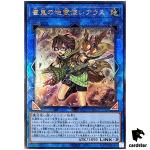 Aussa the Earth Charmer, Immovable QCCP-JP189 Ultimate [UtR] side Pride Yugi