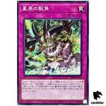 Dragon Tail Horn DBJH-JP010 [N] Normal Justice Hunters Yugioh Japanese