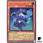 Krishnerd Witch [Internatiional] WPP5-JP048 [ScR] Secret World Prem Yugioh