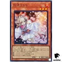 Ash Blossom Joyous Spring QCDB-JP021 [SR] Super 25th Cent Duelist Box Yugi