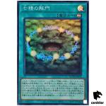 Opening of the Spirit Gates QCDB-JP056 [SR] Super 25th Cent Duelist Box Yugi