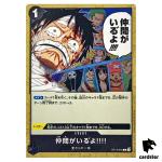 I Have My Crew C ST14-016 PRB-02 [Regular] THE BEST vol.2 One Piece Japanese