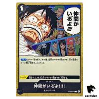 I Have My Crew C ST14-016 PRB-02 [Regular] THE BEST vol.2 One Piece Japanese