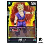 Son Gohan SH UC FB07-057 Dragon Ball Fusion World WISH FOR SHENRON Japanese