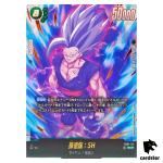 Son Gohan SH SCR FB07-121 Dragon Ball Fusion World WISH FOR SHENRON Japanese