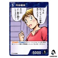 Asami Tsuburaya C CT-P09 B09015 Sparkle of the Gale DETECTIVE CONAN Japanese