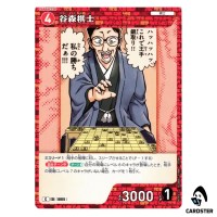 Tanimori Kishi C CT-P09 B09063 Sparkle of the Gale DETECTIVE CONAN Japanese