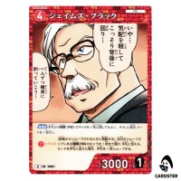 James Black C CT-P09 B09061 Sparkle of the Gale DETECTIVE CONAN Japanese