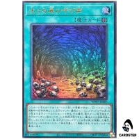 Call of the Forgotten WPP7-JP007 [UR] Ultra World Premier Pack 2026 Yugioh JP