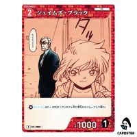 James Black C CT-P08 B08053 Sad Fate DETECTIVE CONAN Japanese