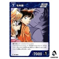 Ran Mori C CT-P08 B08014 Sad Fate DETECTIVE CONAN Japanese