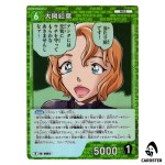 Momiji Ooka R CT-P08 B08023 Sad Fate DETECTIVE CONAN Japanese