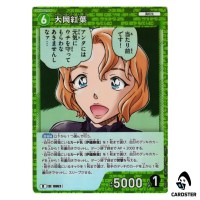 Momiji Ooka R CT-P08 B08023 Sad Fate DETECTIVE CONAN Japanese