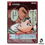 Hidemi Hondo (Kir) C CT-P08 B08055 [PAR] Sad Fate DETECTIVE CONAN Japanese