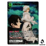 Momiji Ooka and Muga Iori MR CT-P08 B08019 [PAR] Sad Fate DETECTIVE CONAN JP
