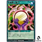 Beastly Mirror Ritual [R] RD/KP25-JP056 Rising of the Aurora Yugioh Rush Duel