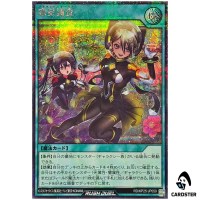 Planet Survey [SCR] RD/KP25-JP059 Secret Rising of the Aurora Yugioh Rush Duel
