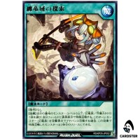 Researching the Clad Dragondom [R] RD/KP25-JP052 Rare Yugioh Rush Duel Japan