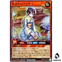 Hydrangea the Shadow Flower Tea Master [SR] RD/KP25-JP029 Yugioh Rush Duel JP