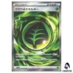 Growing Grass Energy [SR] 104/076 M6 Storm Emeralda Pokemon Card Japanese