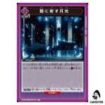 Moonlight Piercing the Darkness C UA52BT/KJN-1-080 Eminence Union Arena Japan