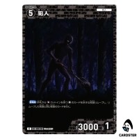 Culprit C CT-P07 B07102 Enchanted Magic DETECTIVE CONAN Japanese