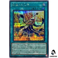 Radiant Typhoon Vision UT01-JP052 [SCR] Secret Rare Utility Selection Yugioh