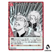 This Is Faster Than Persuading You C CT-P06 B06082 [PAR] DETECTIVE CONAN Japan