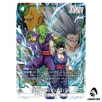 Son Gohan SH / Piccolo SH PR FP-076 2ND COMPLETE CARD COLLECTION Dragon Ball
