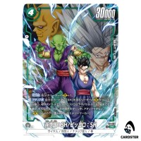 Son Gohan SH / Piccolo SH PR FP-076 2ND COMPLETE CARD COLLECTION Dragon Ball