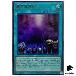 Domain of the True Monarchs DUAD-JPS19 [UR] Ultra Duelist Advance Yugioh Jap
