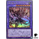 Primite Dragon Nether Berzelius DUAD-JP035 [UR] Ultra Duelist Advance Yugioh