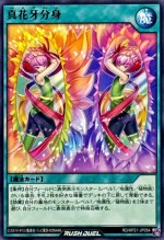 True Shadow Flower Clone RD/KP21-JP054 [N] Accel Road Yugioh Rush Duel