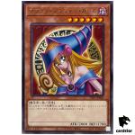 Dark Magician Girl TTP1-JP005 [R] Rare Tactical-Try Pack Yugioh Japanese