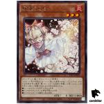 Ash Blossom and Joyous Spring TTP1-JP078 [R] Rare Tactical-Try Pack Yugioh J