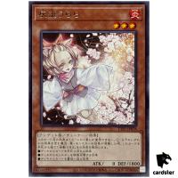 Ash Blossom and Joyous Spring TTP1-JP078 [R] Rare Tactical-Try Pack Yugioh J
