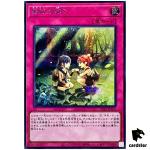 Mikanko Promise TTP1-JP073 [ScR] Secret Tactical-Try Pack Yugioh Japanese