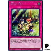 Mikanko Promise TTP1-JP073 [ScR] Secret Tactical-Try Pack Yugioh Japanese