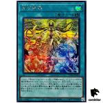 Mikanko Kagura TTP1-JP072 [ScR] Secret Tactical-Try Pack Yugioh Japanese