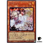 Ash Blossom and Joyous Spring TTP1-JP078 [ScR] Secret Tactical-Try Yugioh