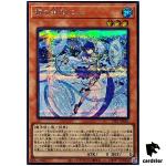 Ni-Ni the Mirror Mikanko TTP1-JP061 [ScR] Secret Tactical-Try Pack Yugioh JP