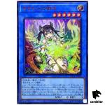 Ohime the Manifested Mikanko [ALT] TTP1-JP063 [UPR] Ultra Parallel Yugioh