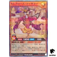 Celeb Rose Sorcerer RD/AP01-JP047 [SPR] Super Parallel Dev Yugioh Rush Duel