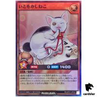Grace Cat RD/AP01-JP022 [SR] Super Rare Devils Ceremony Yugioh Rush Duel JP