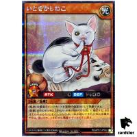 Grace Cat RD/AP01-JP022 [ScR] Secret Devils Ceremony Yugioh Rush Duel Japan