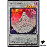 Garden Rose Maiden DOOD-JPS06 [UR] Ultra Doom of Dimensions Yugioh Japanese