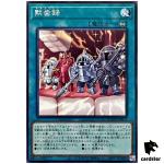 Apocaries DOOD-JP072 [N] Normal Doom of Dimensions Yugioh Japanese