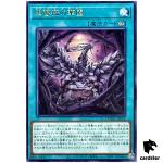 Black Rose Garden DOOD-JP055 [R] Rare Doom of Dimensions Yugioh Japanese