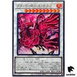 Ruddy Rose Dragon DOOD-JPS05 [UR] Ultra Doom of Dimensions Yugioh Japanese